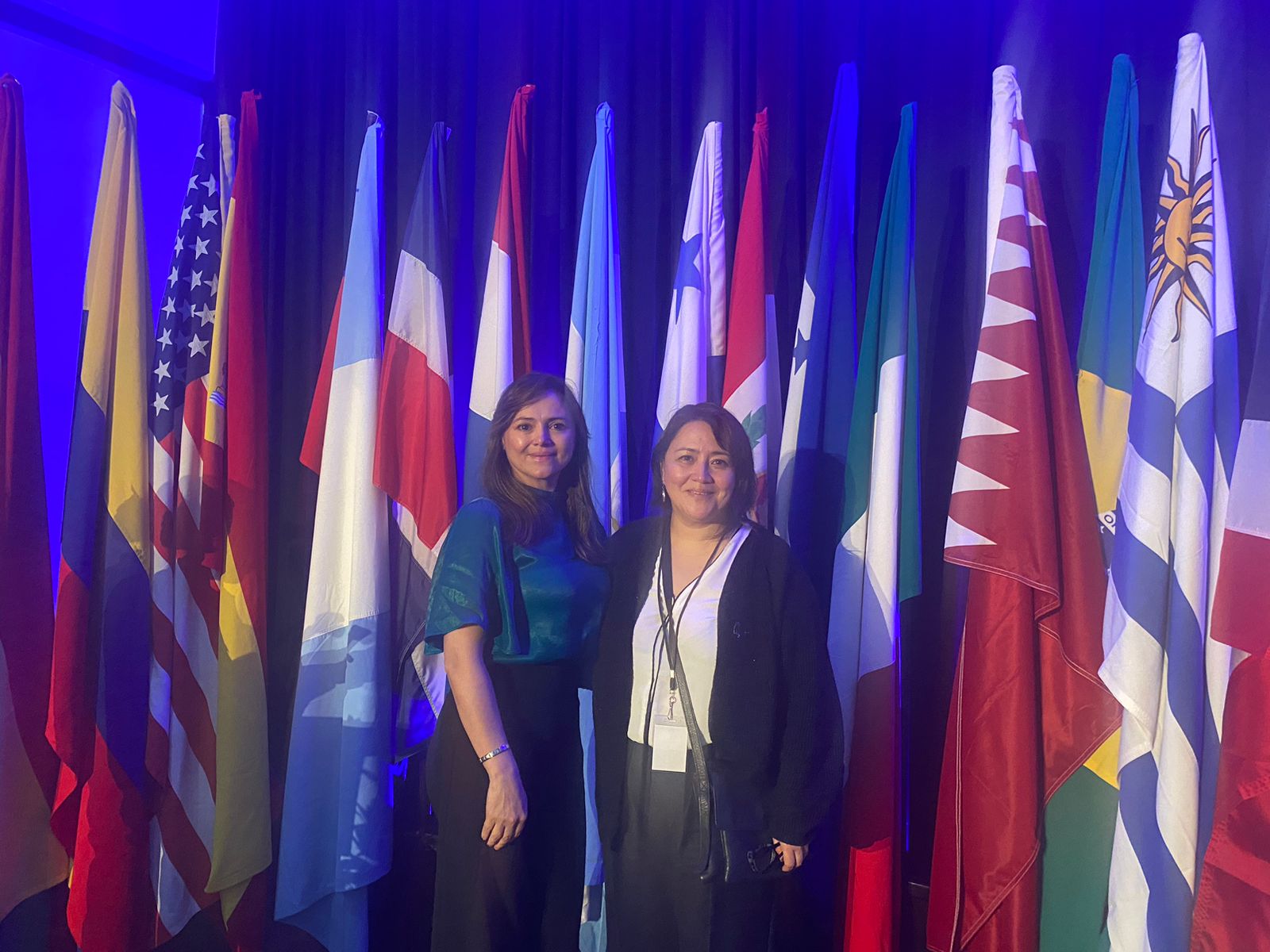 Profesora Marcela Aedo participa en Reunión Consultiva Regional de América Latina y el Caribe para avanzar en la aplicación de las Reglas de Bangkok