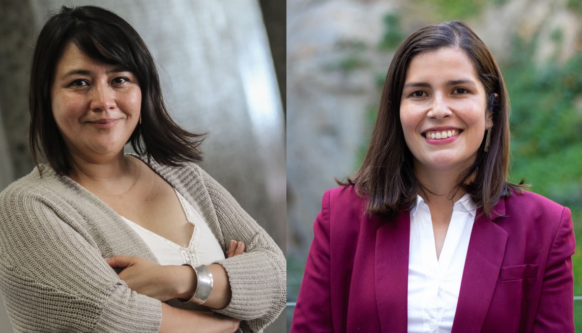 Profesoras Rocío Sánchez y Marcela Aedo integran Comisión de reforma al Código Penal