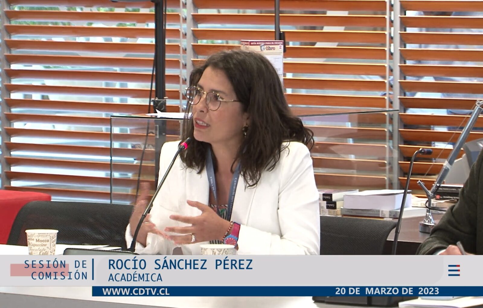 Profesora Rocío Sánchez expuso en la Cámara de Diputadas y Diputados en sesión de tramitación de proyecto de Ley que propone un nuevo Código penal